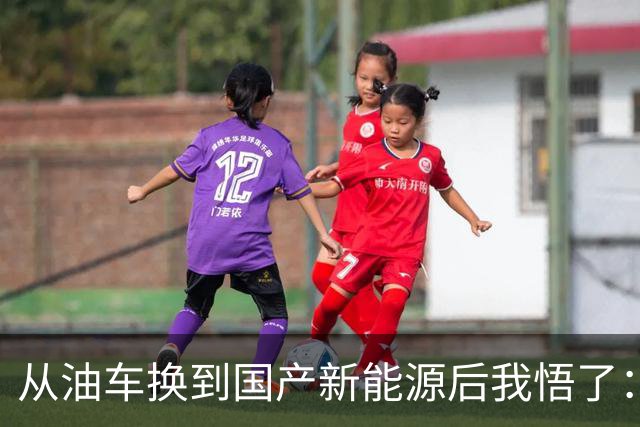 从油车换到国产新能源后我悟了：宁可花多点钱，也要坚持3不买